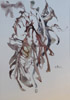 Alte Blätter, 2017, Aquarell, 34 x 48 cm